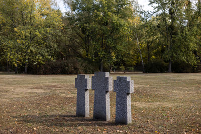 Stone tombstones in the german cemetery in the fall. beautiful german cemetery near kyiv.