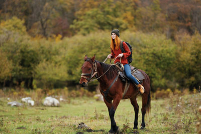 Close-up of horse on a field