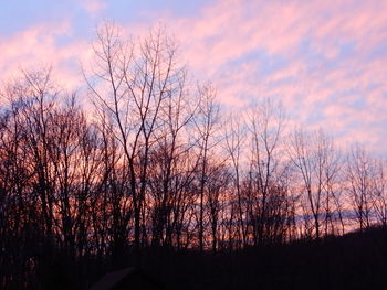 Bare trees on landscape at sunset