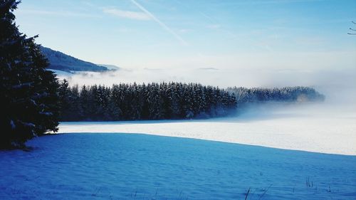 Scenic view of snow covered landscape