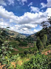 Landscape with mountain range in background