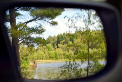 Reflection of trees in water