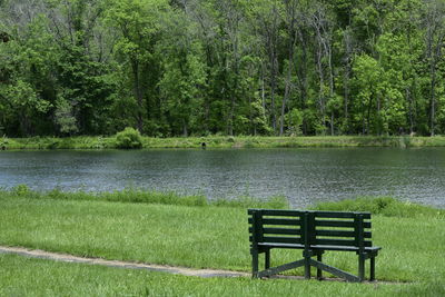 Scenic view of lake in park