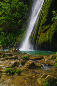 Scenic view of waterfall in forest