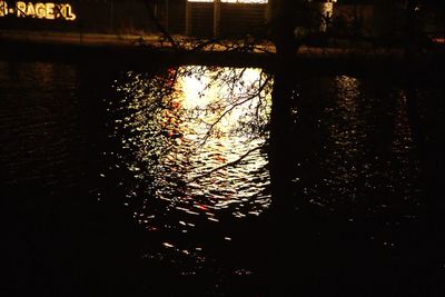 Close-up of illuminated silhouette tree against sky at night