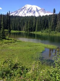 Scenic view of lake by trees and mountains against sky