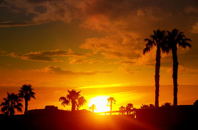 Silhouette palm trees against sky during sunset