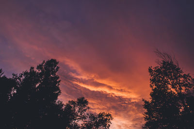 Low angle view of silhouette trees against sky at sunset