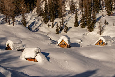 Mountain pasture in winter