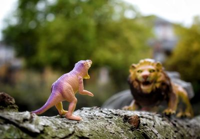 Close-up of toys. lion and dinosaur 