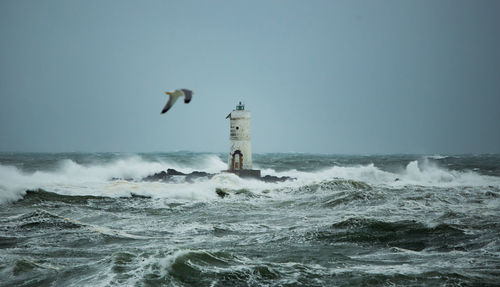 The lighthouse of the mangiabarche shrouded by the waves of a mistral wind storm
