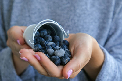 Woman holding metal bucket with frozen blueberry fruits. harvesting concept. female hands collecting