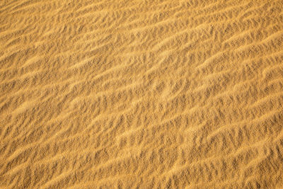 Full frame shot of sand dune