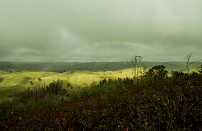 Scenic view of field against cloudy sky