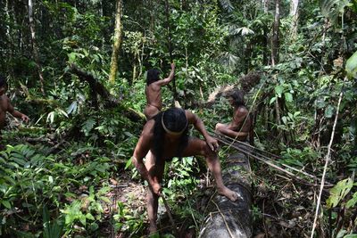 Young man with elephant in forest