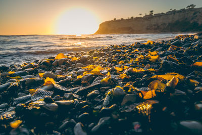 Scenic view of sea against sky at sunset