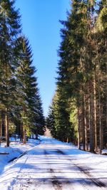 Snow covered road amidst trees against sky