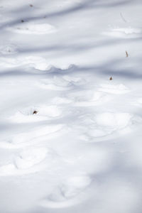 Aerial view of snow covered land