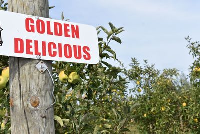 Low angle view of information sign against sky