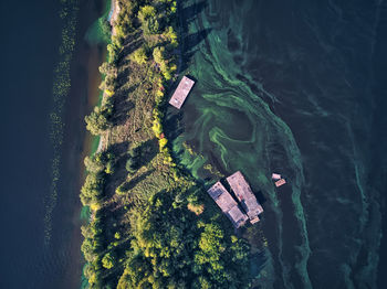 High angle view of plants by sea