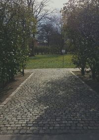 Footpath in park