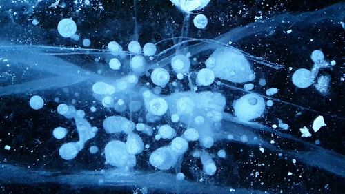 Close-up of frozen water