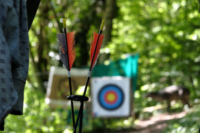 archery