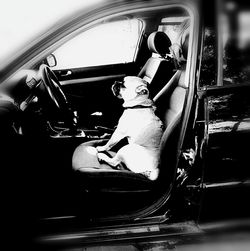 Man sitting on car window