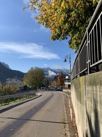 Road by trees in city against sky