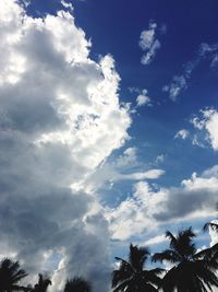 Low angle view of palm trees against sky