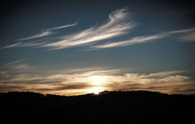 Low angle view of silhouette trees against sky at sunset