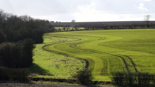 Idyllic shot of green rural landscape against sky