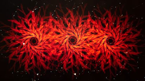 Close-up of fire crackers at night