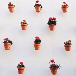 Close-up of red wall