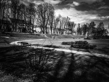 View of trees in city against sky