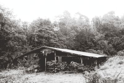 Built structure with trees in background