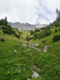 Scenic view of landscape against sky