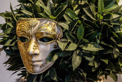 Close-up of statue against plants