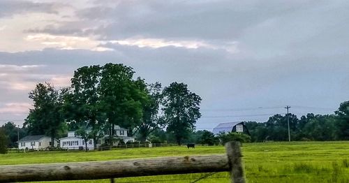 Trees and houses on field against sky