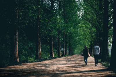 Rear view of people walking in forest