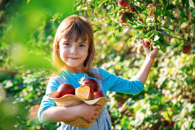 Portrait of girl picking apples