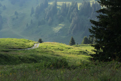View of rural landscape