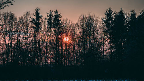 Silhouette trees by lake against sky at night