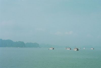 Boat sailing in sea