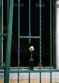 Close-up of closed metal door of building