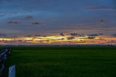 Scenic view of agricultural field against sky during sunset