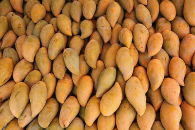 Full frame shot of mangoes