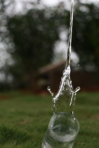 Close-up of water drop falling on field
