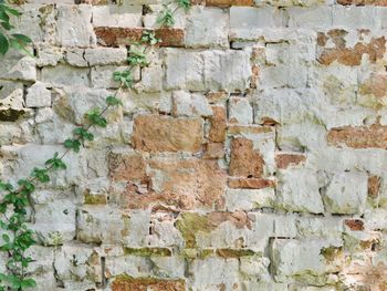 Close-up of weathered brick wall