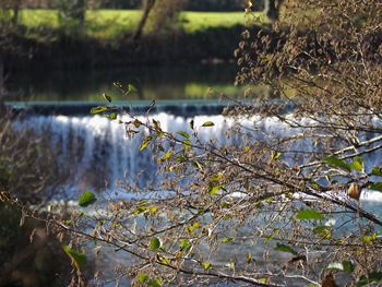 Scenic view of lake amidst trees